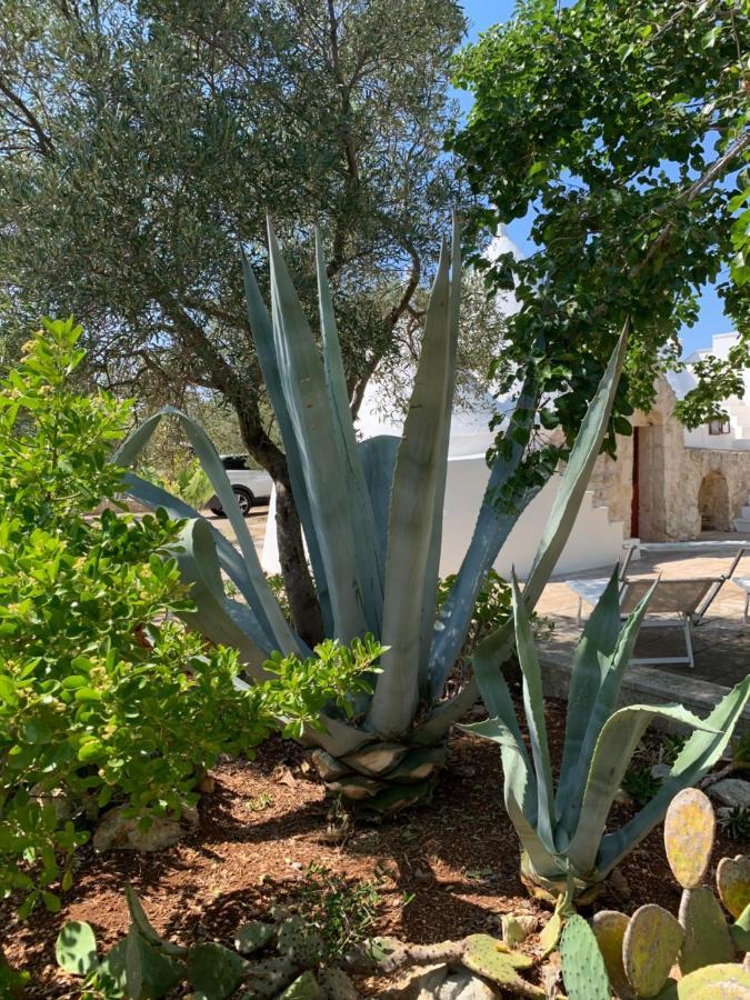 הוילה אוסטוני Trullo Tojo מראה חיצוני תמונה