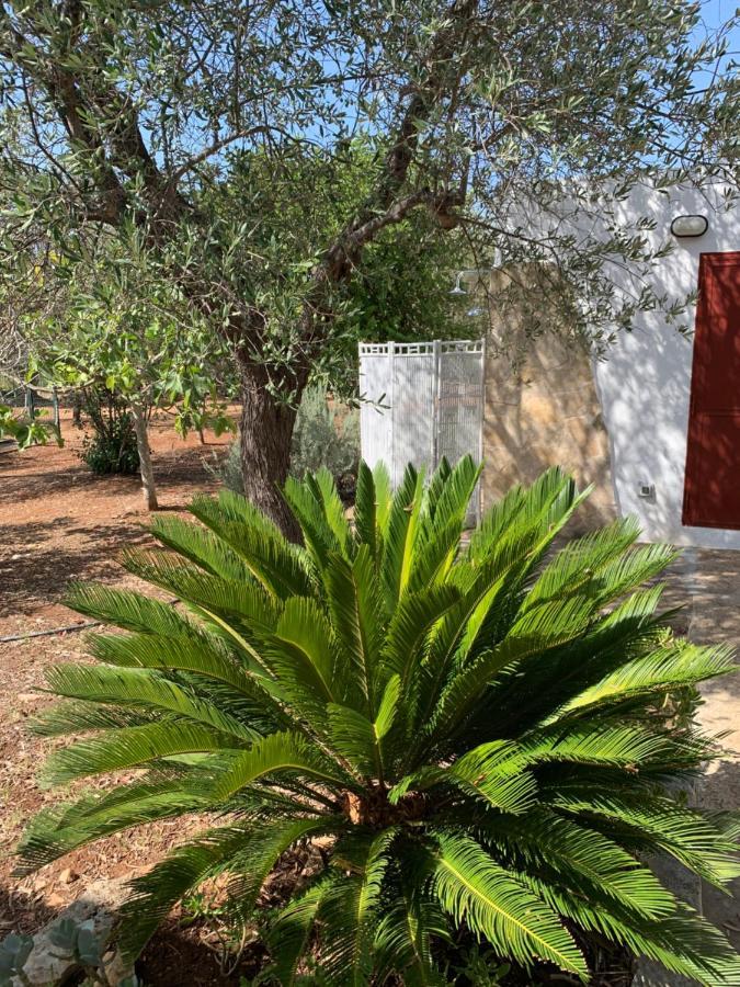 הוילה אוסטוני Trullo Tojo מראה חיצוני תמונה
