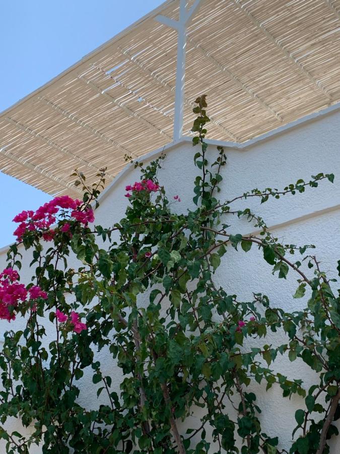 הוילה אוסטוני Trullo Tojo מראה חיצוני תמונה